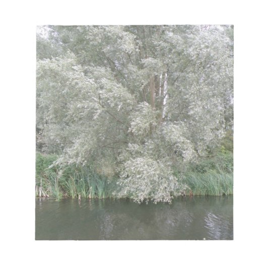 Bloc-notes White Tree and River Landcape (Devant)