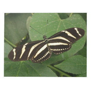 Bloc-notes Zebra Longwing Papillon