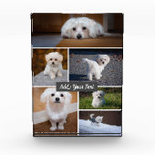 Bloc personnalisé de photo des textes de collage (Devant)