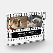 Bloc Photo 1Noël Ensemble Deux Chiens Paw 2 (Gauche)