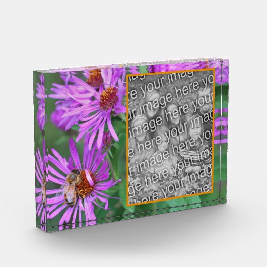 Bloc Photo Abeille De Miel Sur Fleur D'Aster Rose Ajouter Vot (Gauche)