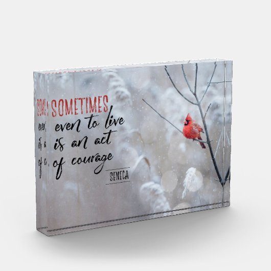 Bloc Photo Acte de courage (Gauche)