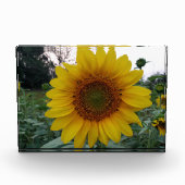 Bloc Photo Add Sunshine with This Bold Sunflower Photo Block (Devant)