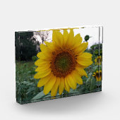 Bloc Photo Add Sunshine with This Bold Sunflower Photo Block (Gauche)