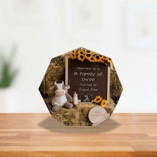 Bloc Photo Adorable faire-part de grossesse à la campagne