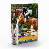 BLOC PHOTO AFFICHER LE SAUVETAGE (Gauche)