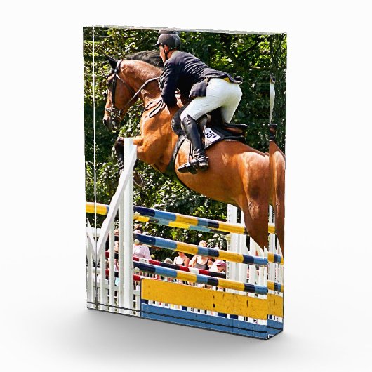 BLOC PHOTO AFFICHER LE SAUVETAGE (Droite)