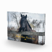 Bloc photo AHT (Droite)