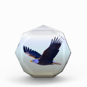 Bloc Photo Aigle volant (Devant)