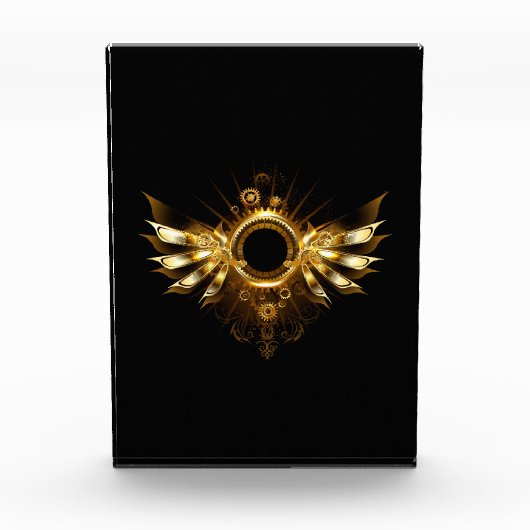 Bloc Photo Ailes de Steampunk (Devant)