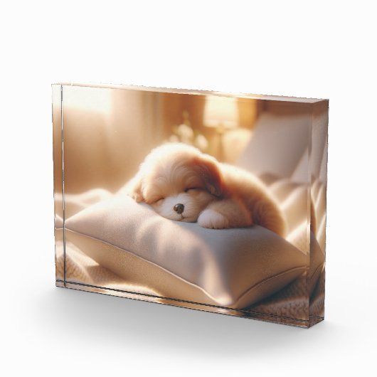 Bloc photo Ajouter votre photo (Droite)