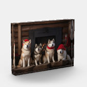 Bloc Photo Akita par le Noël de la cheminée (Gauche)