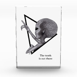 Bloc Photo Alien gris, la vérité est là