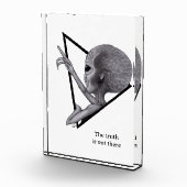 Bloc Photo Alien gris, la vérité est là (Droite)