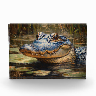Bloc Photo Alligator dans les Everglades Wildlife Art