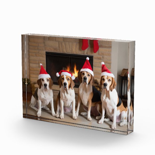 Bloc Photo American English Foxhound Freplace Noël (Droite)