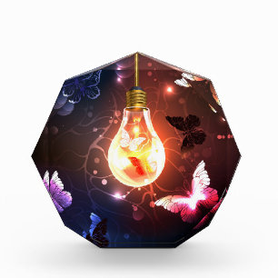 Bloc Photo Ampoule lumineuse avec papillons nocturnes