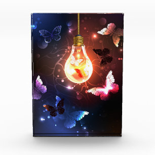 Bloc Photo Ampoule lumineuse avec papillons nocturnes