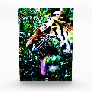 Bloc Photo Amur Tiger pbcna