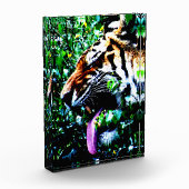 Bloc Photo Amur Tiger pbcna (Gauche)