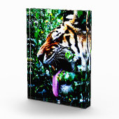 Bloc Photo Amur Tiger pbm (Droite)