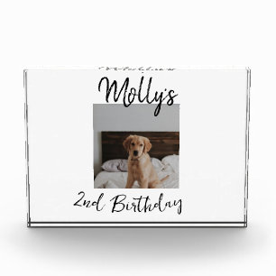Bloc Photo Animateur chien chat animal photo moderne simple