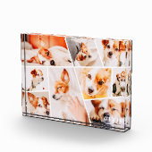 Bloc Photo Animaux de compagnie Moderne Simple Personnalisé 9 (Droite)