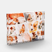 Bloc Photo Animaux de compagnie Moderne Simple Personnalisé 9 (Gauche)