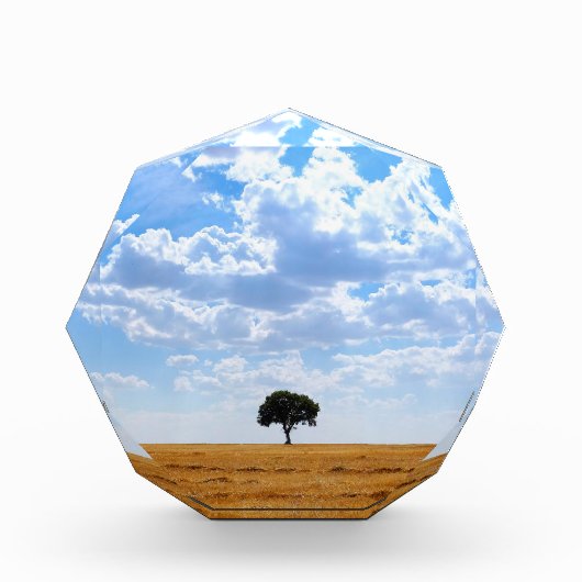Bloc Photo Arbre dans un champ de blé récolté (Devant)