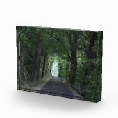 Bloc Photo Arbres (Droite)