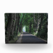Bloc Photo Arbres (Devant)