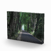 Bloc Photo Arbres (Droite)