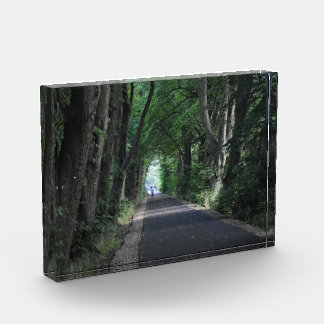 Bloc Photo Arbres