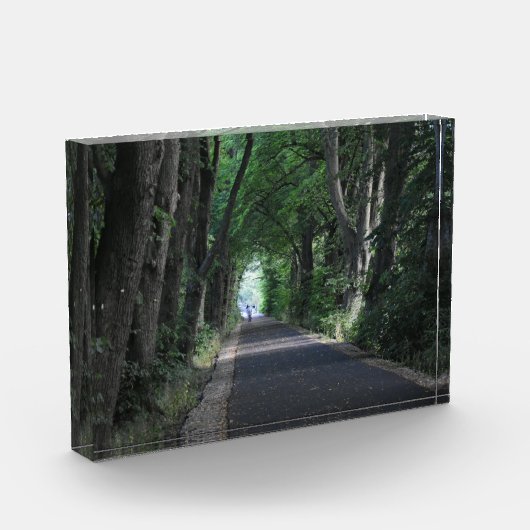 Bloc Photo Arbres (Gauche)