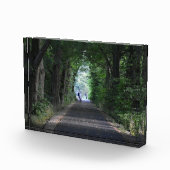 Bloc Photo Arbres (Droite)