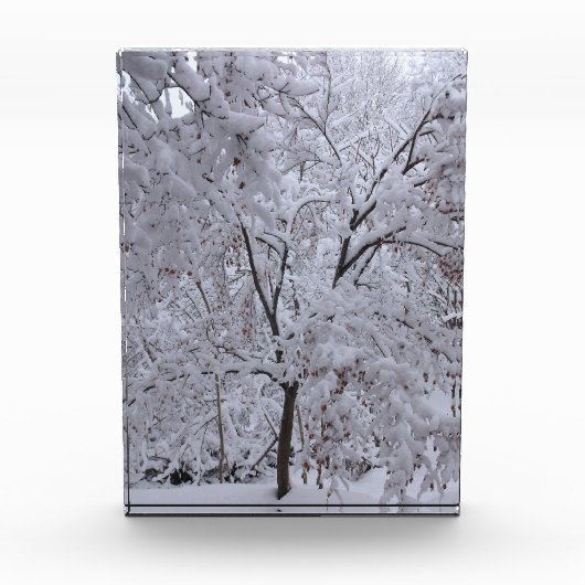 Bloc Photo Arbres à neige (Devant)