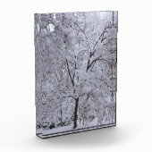 Bloc Photo Arbres à neige (Gauche)