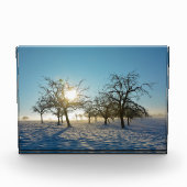 Bloc Photo Arbres d'hiver   -     - (Devant)