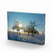 Bloc Photo Arbres d'hiver   -     - (Droite)
