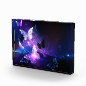 Bloc Photo Arrière - plan avec papillons de nuit (Droite)