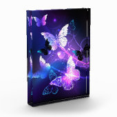 Bloc Photo Arrière - plan avec papillons de nuit (Gauche)