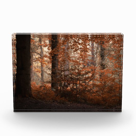 Bloc Photo Aube d'Automne (Devant)