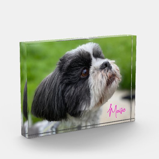 Bloc photo autographié de votre animal de compagni (Gauche)