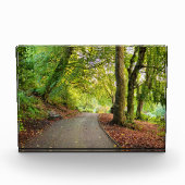 Bloc Photo Automne  (Devant)