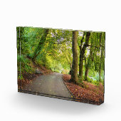 Bloc Photo Automne  (Droite)