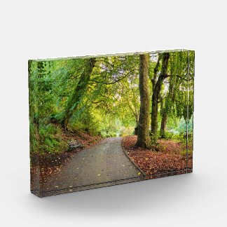 Bloc Photo Automne 