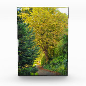 Bloc Photo Automne  (Devant)