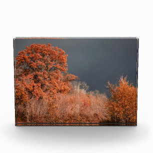 Bloc Photo Automne orageux