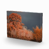 Bloc Photo Automne orageux (Droite)