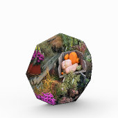 Bloc Photo Autumn Decor (Gauche)